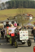 gr-faschumzug-2014-89-andere