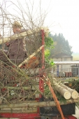gr-faschumzug-2014-92-andere
